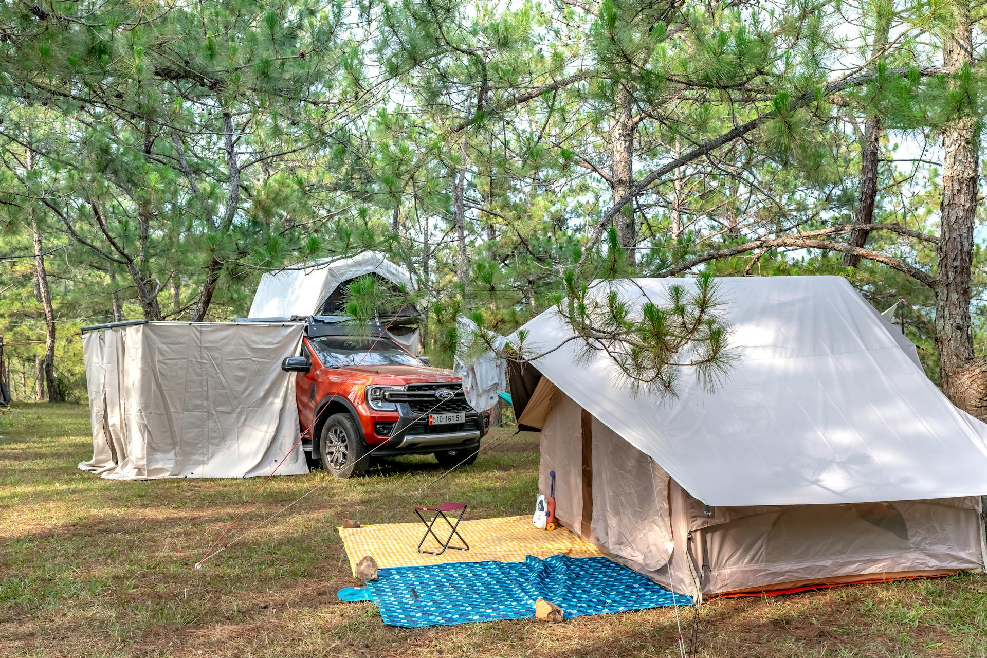 Obelink -Obelink pexels quang nguyen vinh 222549 32307795